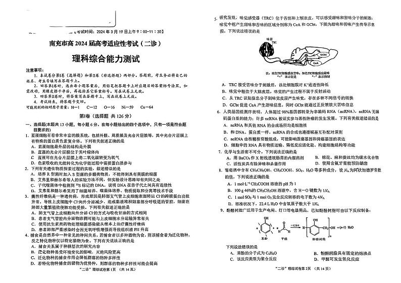 四川省南充市2024届高三下学期3月高考适应性考试（二诊）理综试题及答案01
