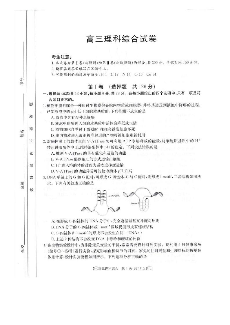 2024届高三第一次模拟理综第1页