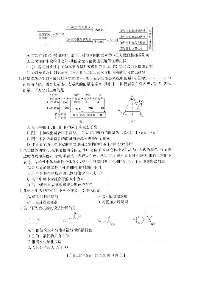 2024届高三第一次模拟理综第2页
