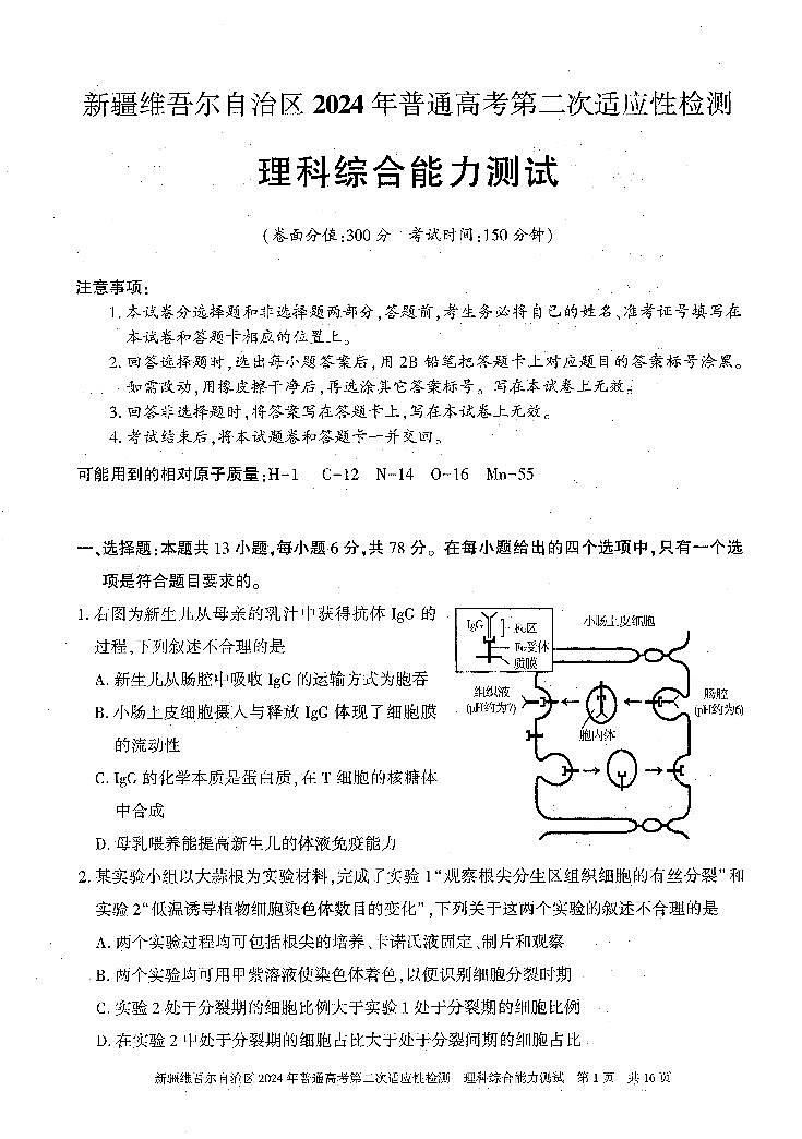 新疆维吾尔自治区2024届高三第二次适应性检测理综01