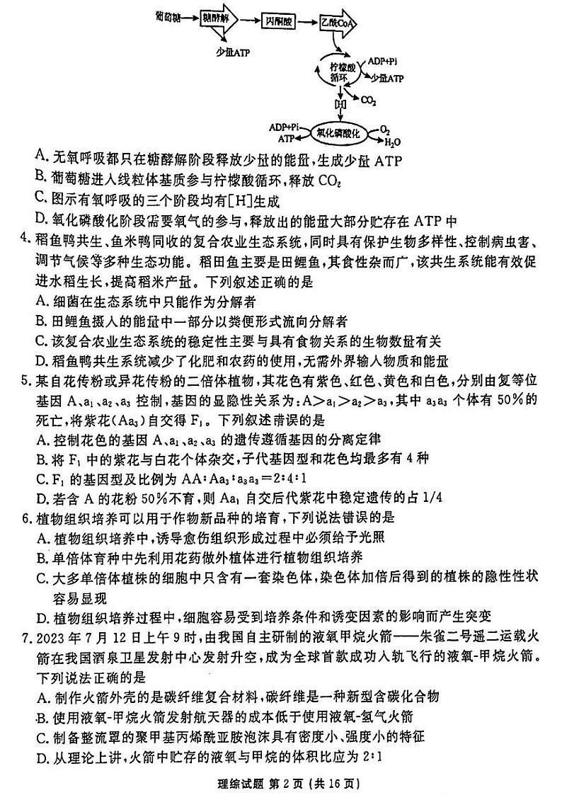 2024届衡水金卷高三下学期4月大联考（老高考）理综试题及答案第2页