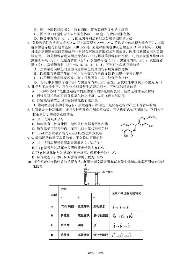 2024绵阳南山中学高三下学期4月绵阳三诊热身考试理综PDF版含答案（可编辑）02