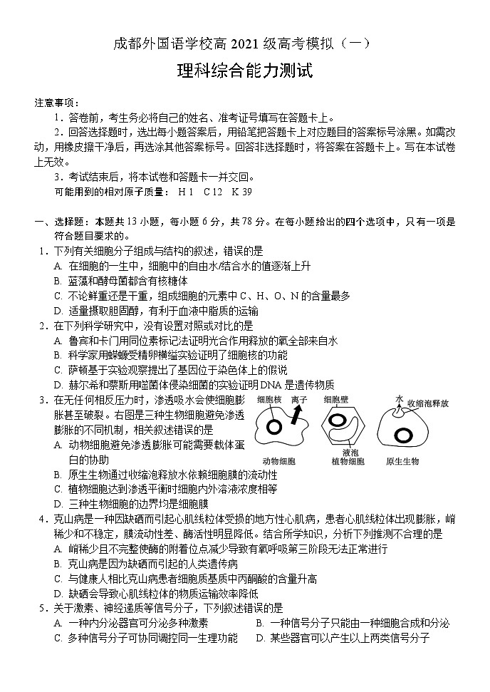 四川省成都外国语学校2024届高三下学期模拟考试（一） 理综试题第1页