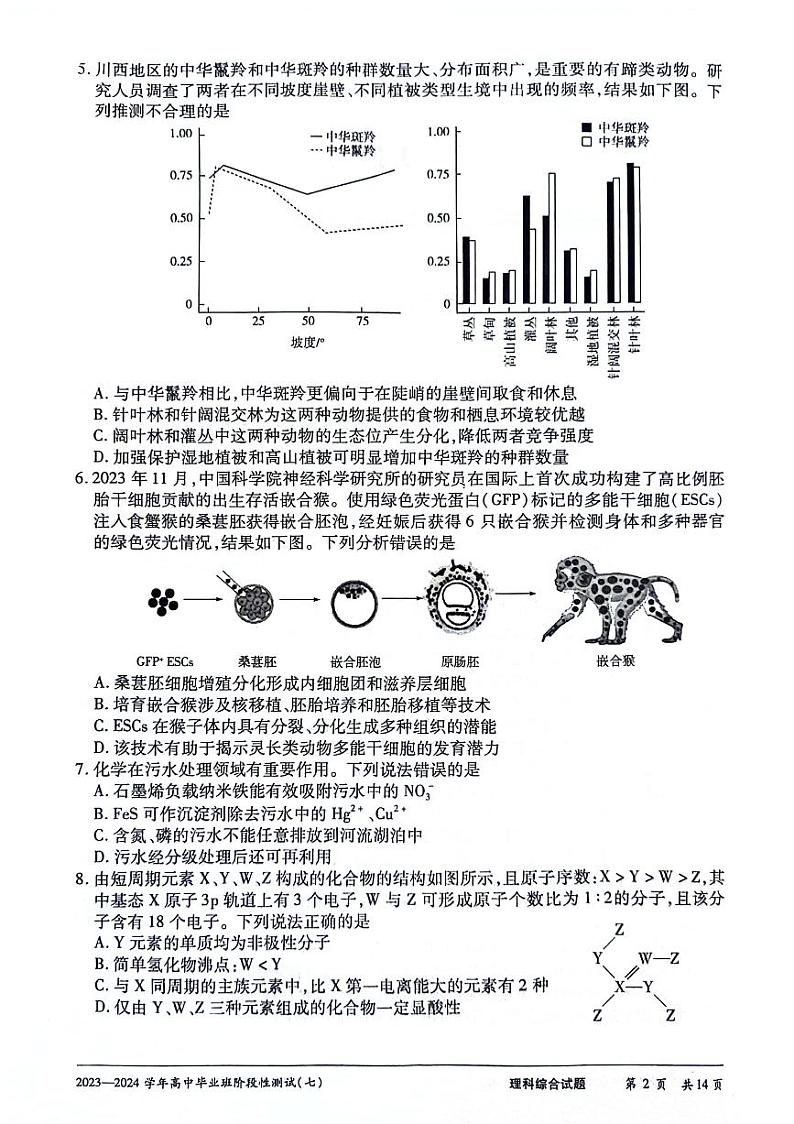 2024天一大联考高中毕业班阶段性测试（七）理综无答第2页