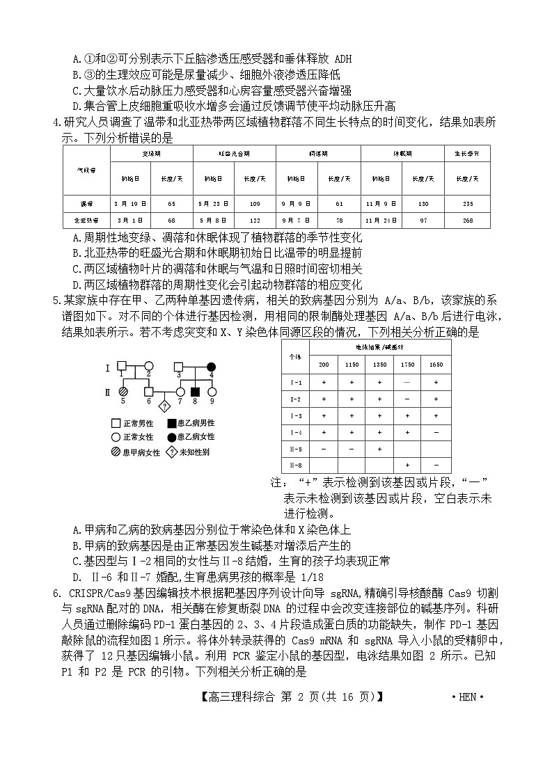 河南省名校联盟2024届高三下学期4月教学质量检测理综试卷（Word版附解析）第2页