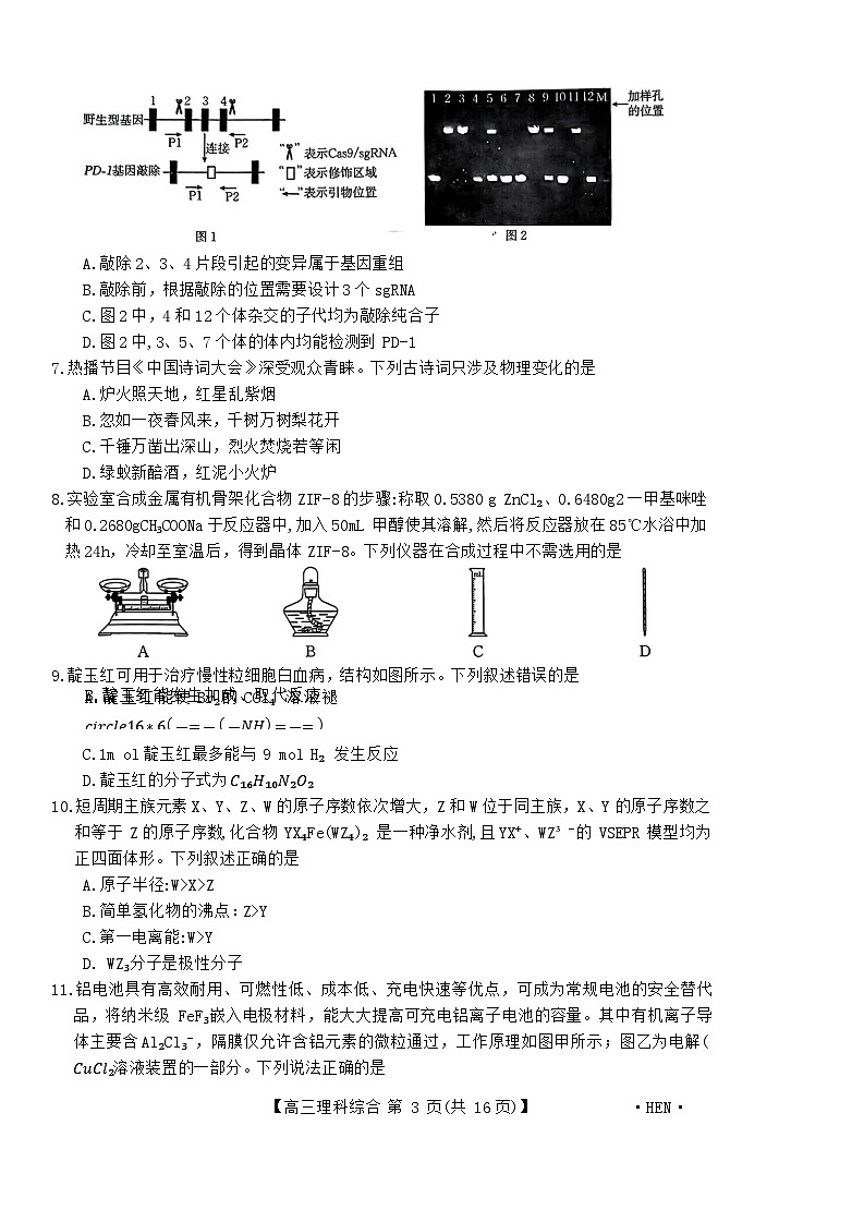 2024河南省名校联盟高三下学期4月教学质量检测试题理综含解析第3页