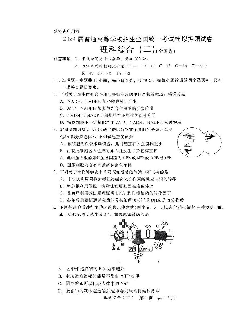 2024届陕西省西安市第一中学高三下学期模拟押题（二）理综试题01