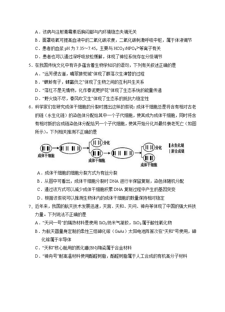 宁夏回族自治区银川一中2024届高三下学期第二次模拟考试 理综试题  附答案02