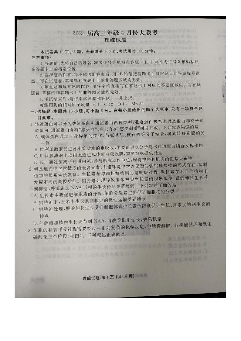 2024晋中高三下学期4月大联考试题（二模）理综PDF版含解析01
