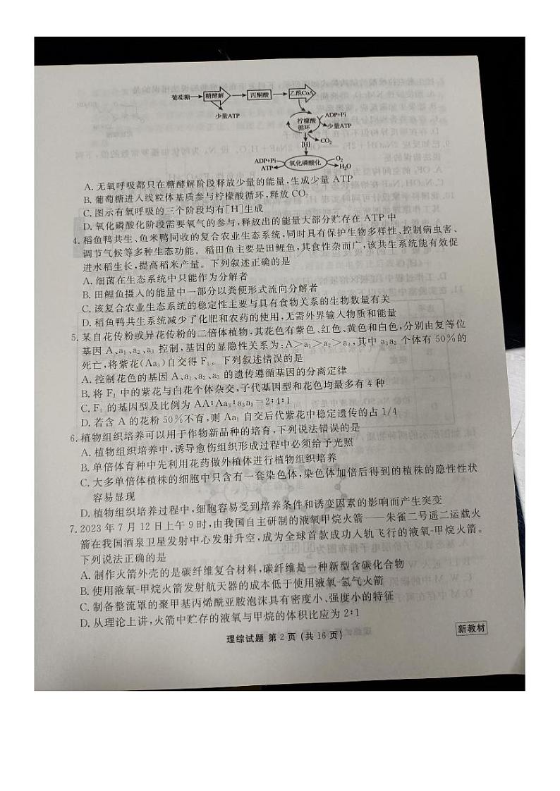 2024晋中高三下学期4月大联考试题（二模）理综PDF版含解析02