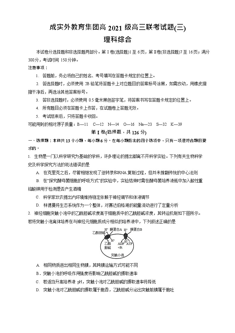 2024届四川省成都市实验外国语学校教育集团高三下学期三诊理科综合试卷+-第1页