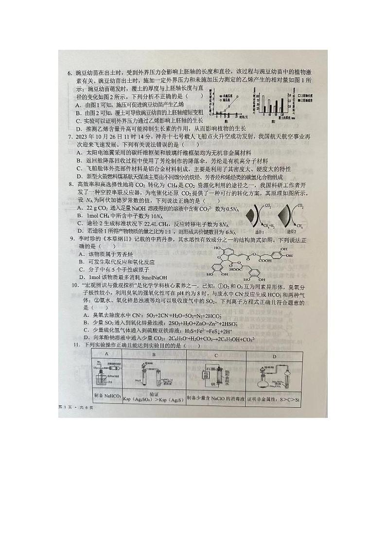宁夏回族自治区吴忠市2024届高三下学期二模理综试卷（PDF版附答案）02