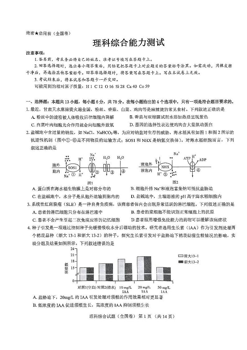 陕西省西安市第一中学2024届高三下学期期中考试理综试卷（PDF版附解析）01