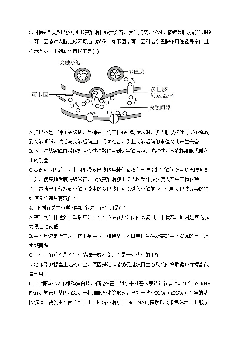 河南省五市2024届高三下学期第一次联考（一模）理综生物试卷(含答案)02
