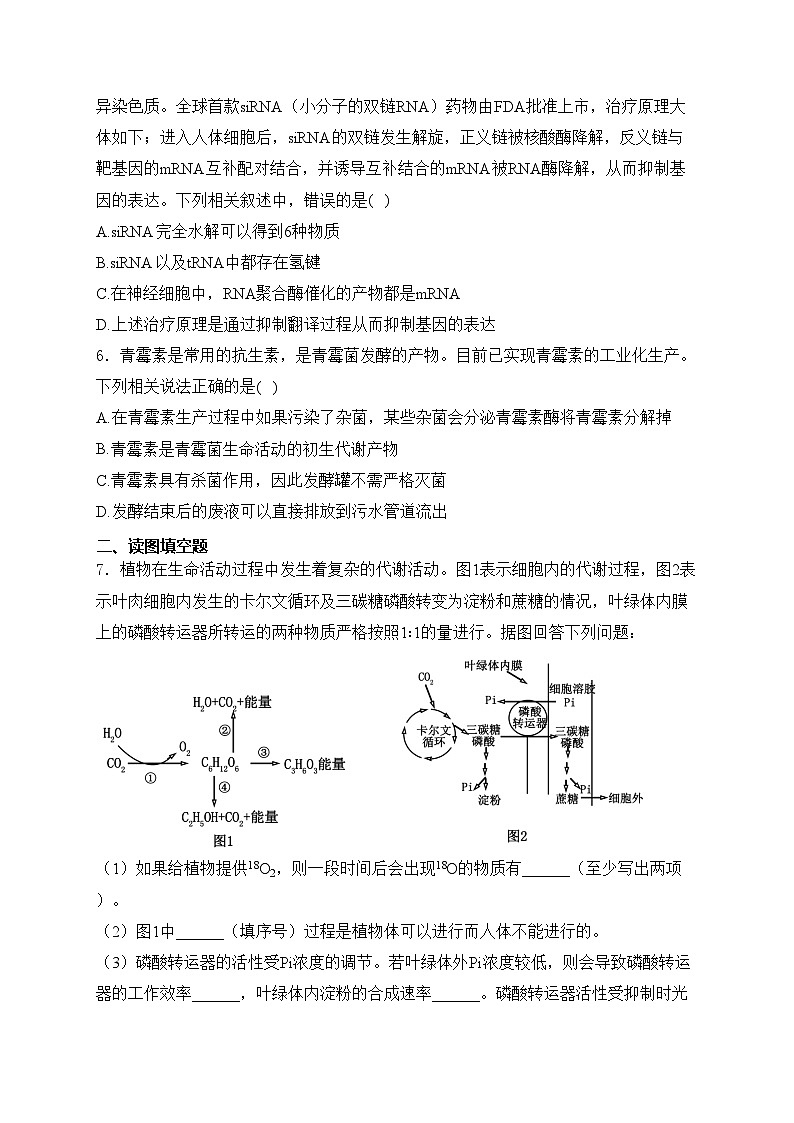 河南省五市2024届高三下学期第一次联考（一模）理综生物试卷(含答案)03