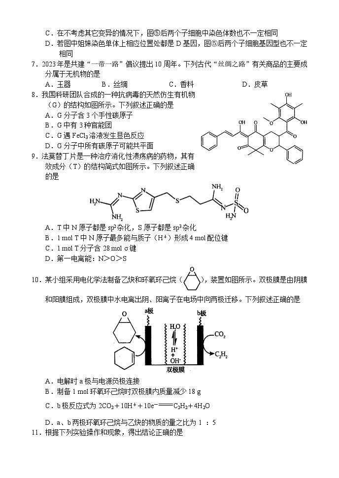 2024届河南省TOP二十名校高三下学期4月冲刺（一）理科综合试卷03