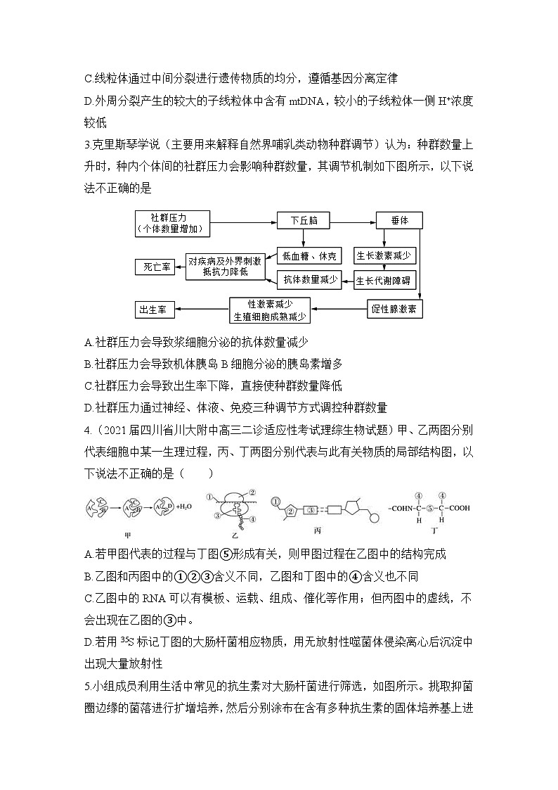 2024届河南省信阳高级中学高三下学期4月二模理综试题02