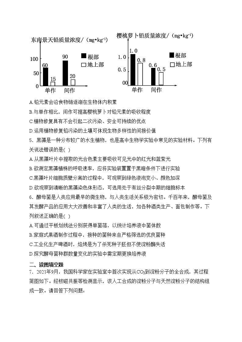 河南省濮阳市2024届高三下学期第一次模拟考试理科综合高中生物试卷(含答案)第2页