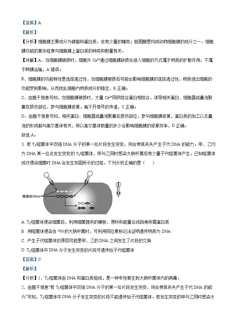 2024届青海省百所名校高三下学期二模理科综合试题-高中生物（原卷版+解析版）02