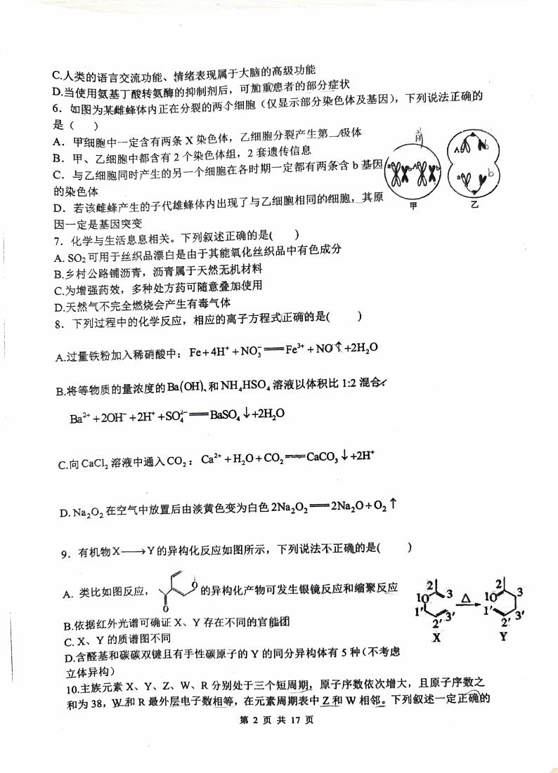 陕西省校+西安市长安区第一中学2023-2024学年高三下学期第五次模拟考试理综试题第2页