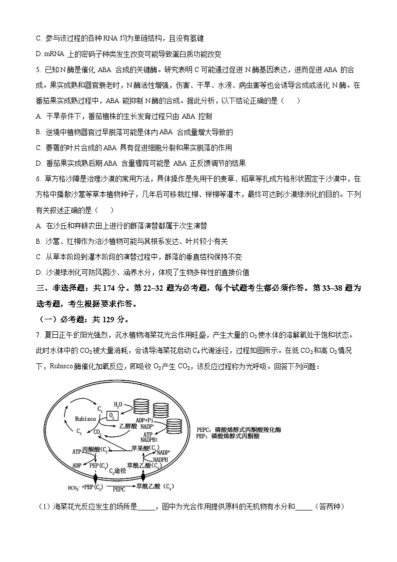 2024届青海省西宁市大通县高三下学期第二次模拟考试理科综合试题-高中生物（原卷版）第2页