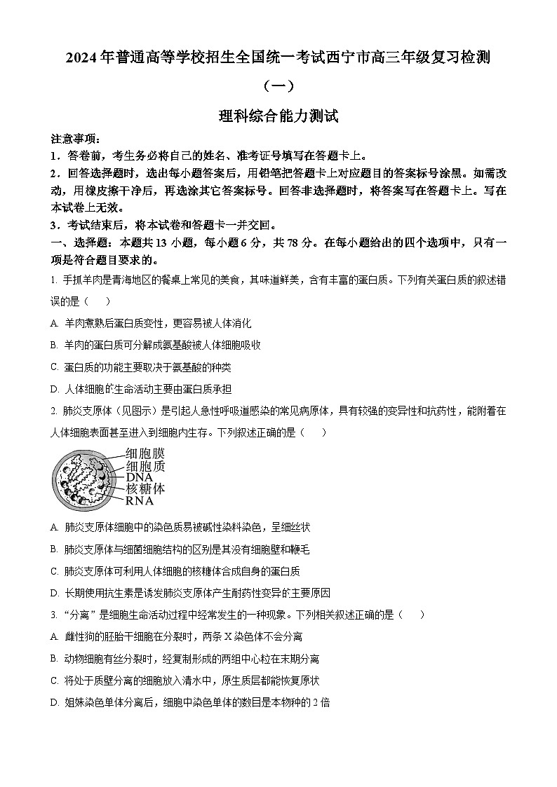 2024届青海省西宁市高三下学期一模理综试卷-高中生物（原卷版+解析版）01