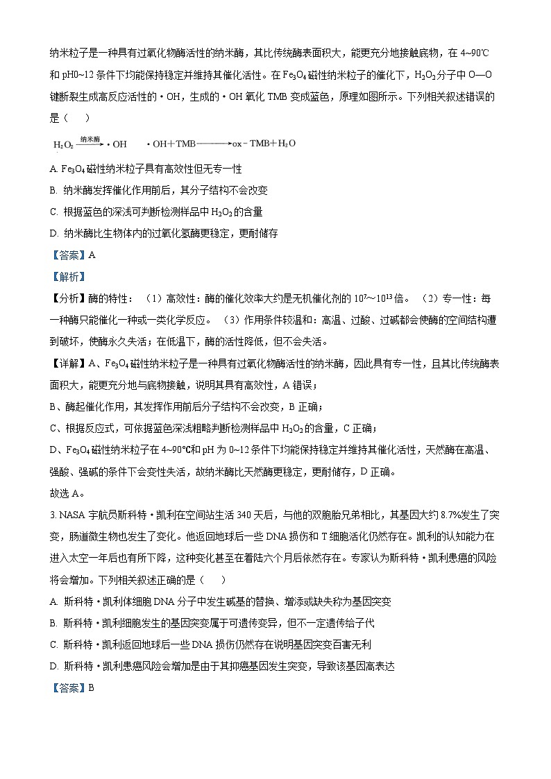 2024届陕西省柞水中学高考冲刺压轴（二）理科综合试卷-高中生物（解析版）第2页