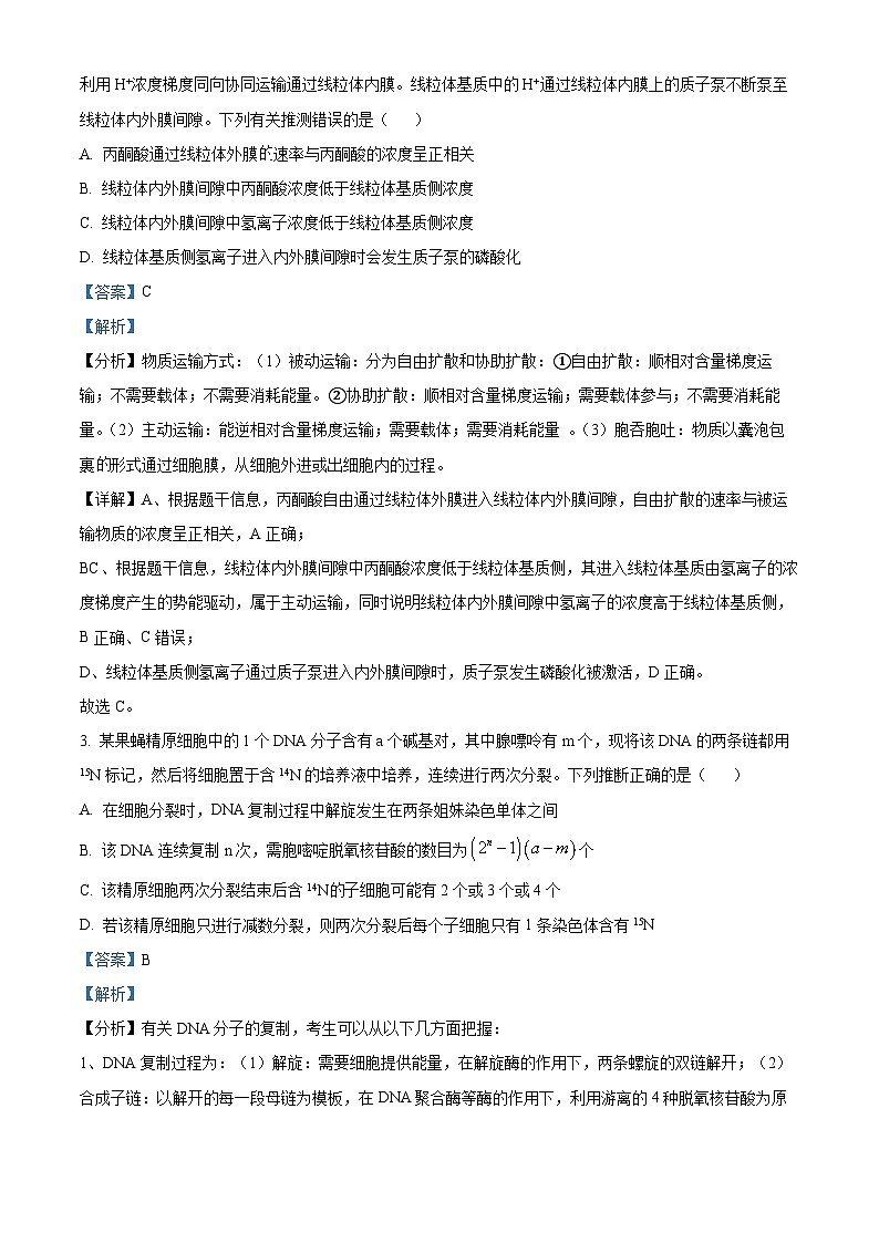 2024届山西省运城市高三下学期二模理综试题-高中生物（原卷版+解析版）02