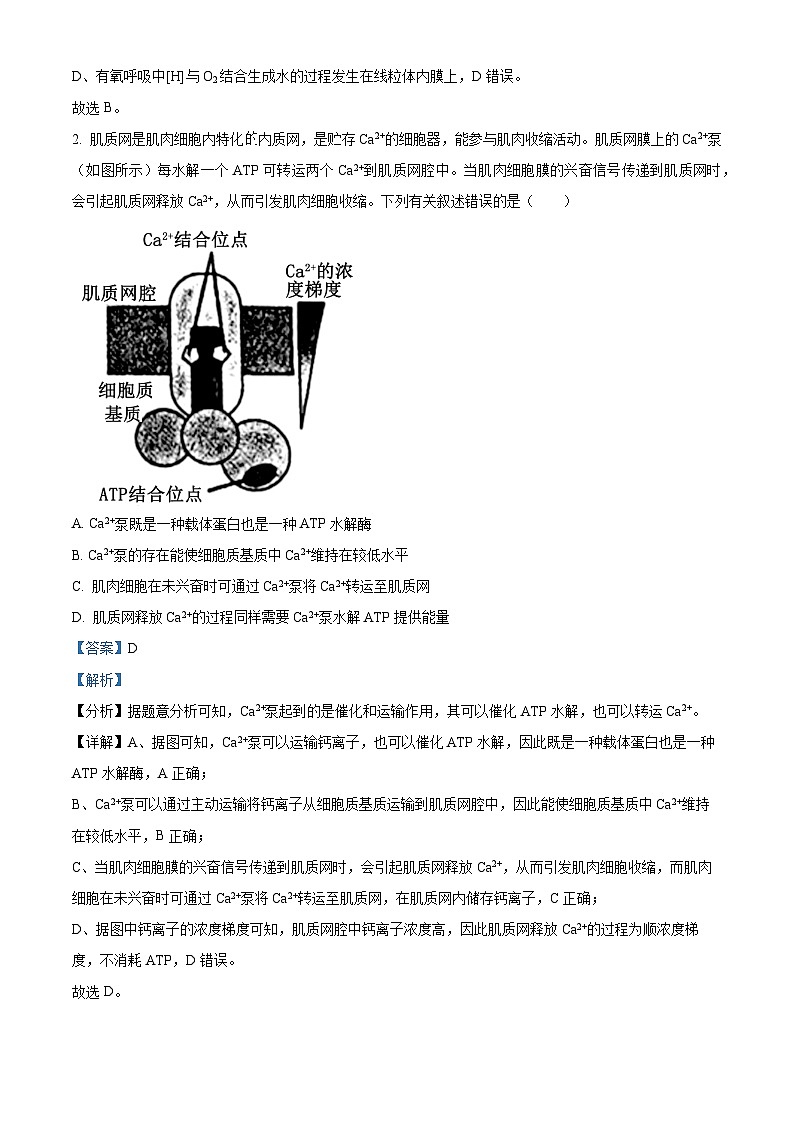 2024届四川省泸州市高三下学期三模理综试题-高中生物（原卷版+解析版）02