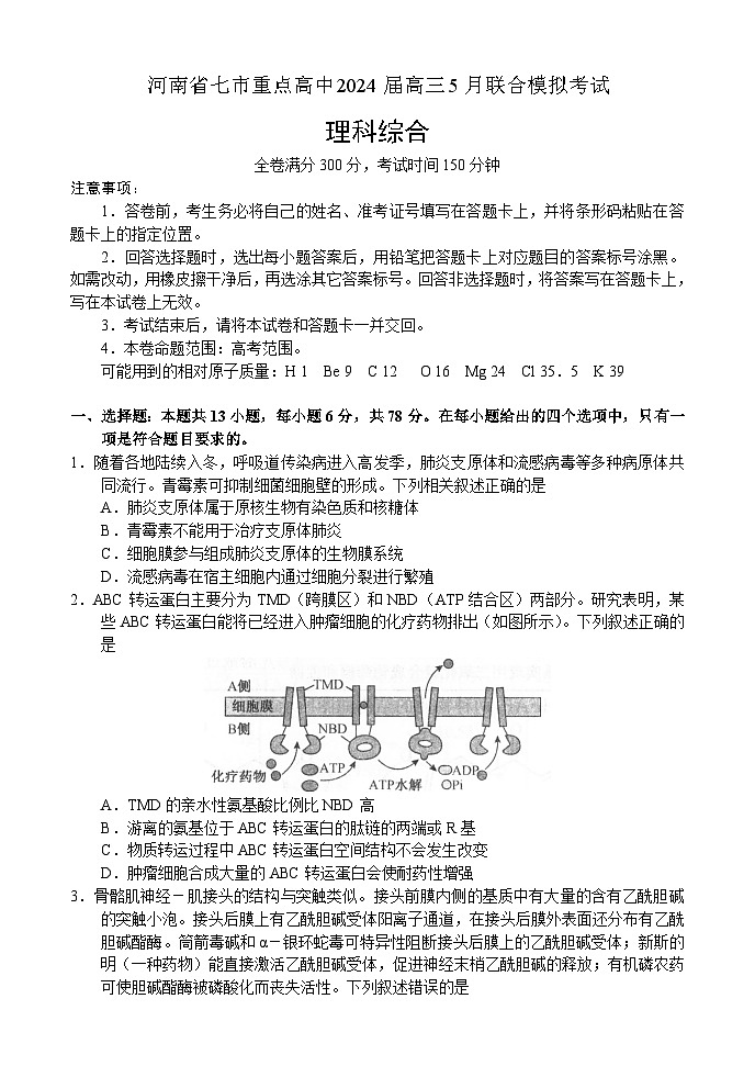 2024届河南省七市重点高中高三5月联合模拟考试理科综合试题01