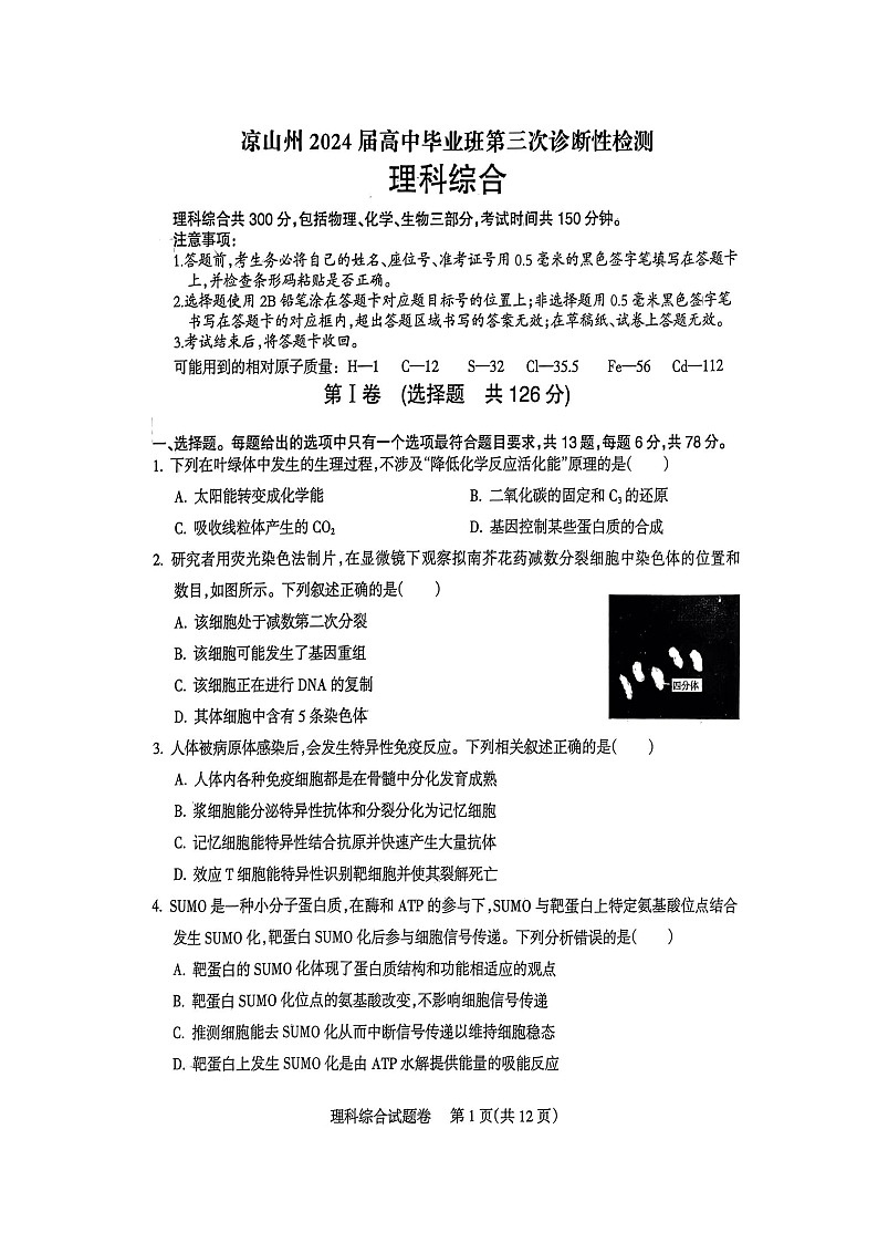 2024届四川省凉山州高三下学期三诊考试理科综合试题第1页