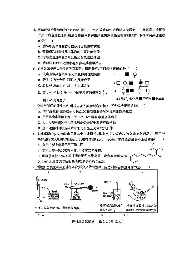 2024届四川省凉山州高三下学期三诊考试理科综合试题第2页