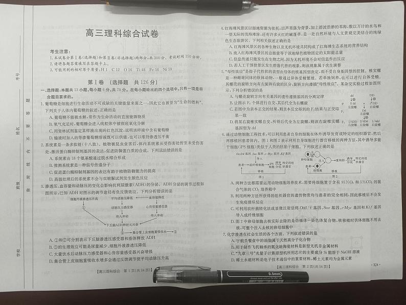 新疆名校联盟2024届高三下学期二模试题理综PDF版含解析01