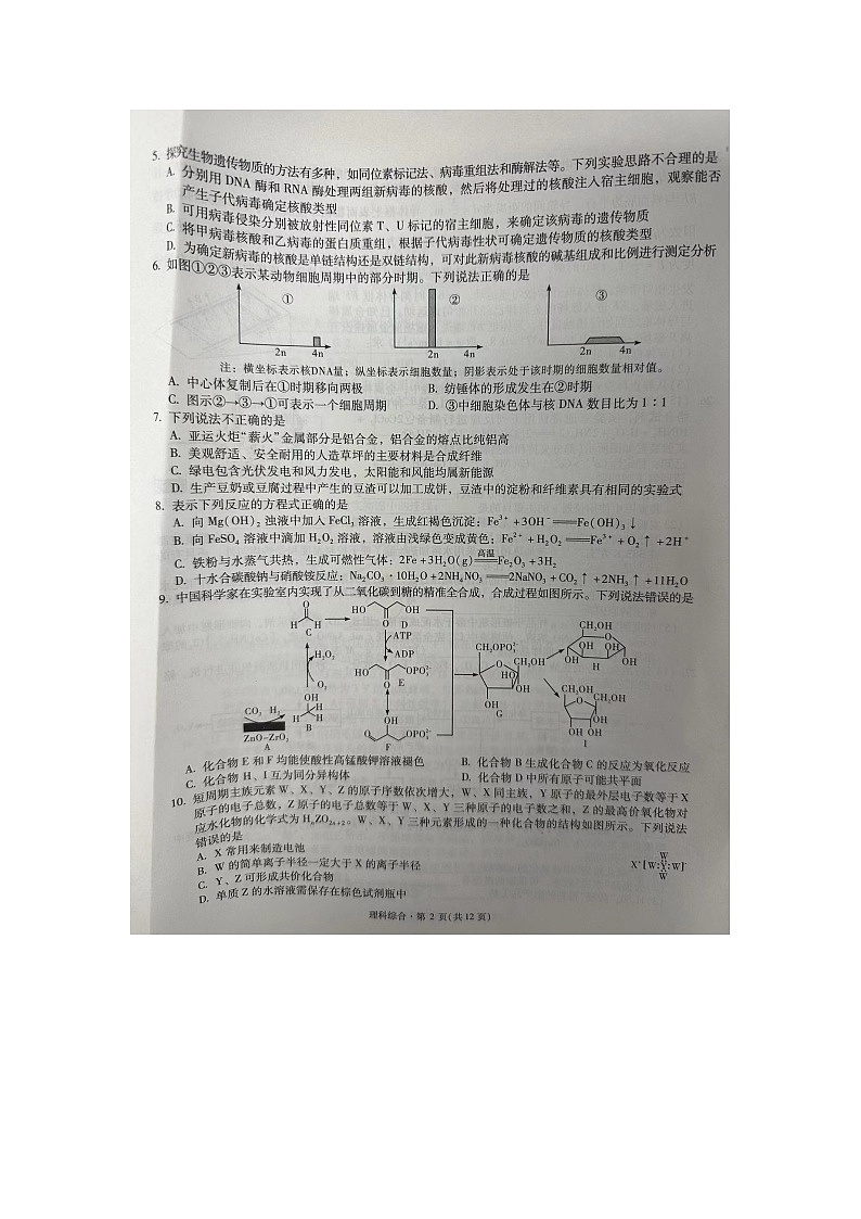 宁夏银川一中、云南省昆明一中2024届高三下学期5月联合考试二模理科综合试题02