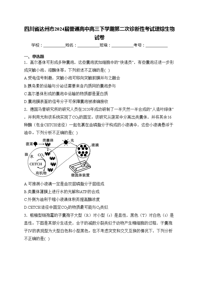 四川省达州市2024届普通高中高三下学期第二次诊断性考试理综生物试卷(含答案)01