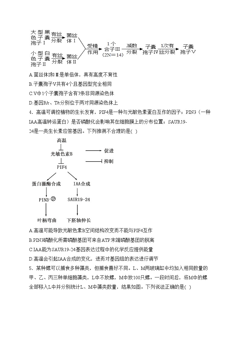 四川省达州市2024届普通高中高三下学期第二次诊断性考试理综生物试卷(含答案)02