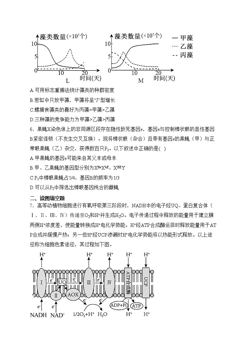 四川省达州市2024届普通高中高三下学期第二次诊断性考试理综生物试卷(含答案)03