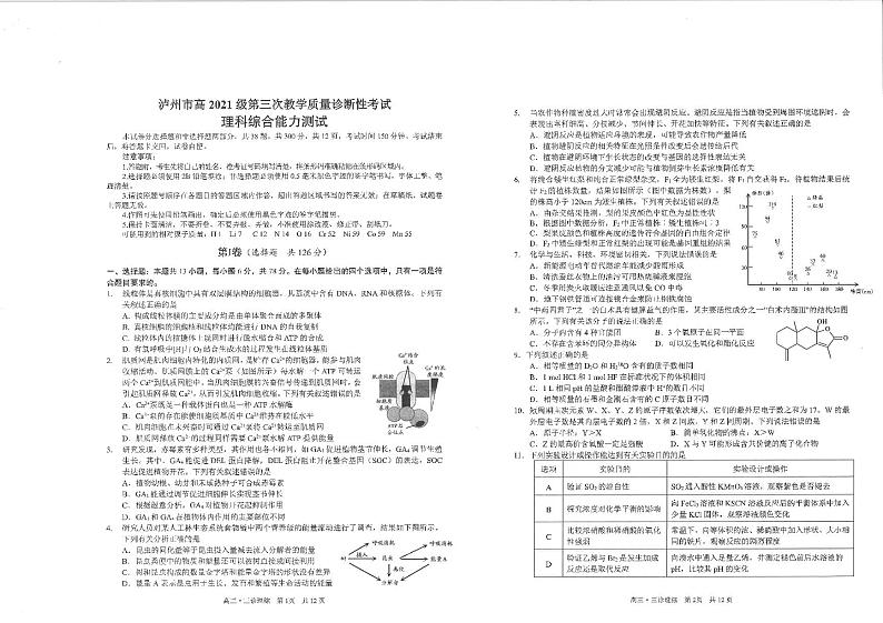 四川省泸州市2024届高三下学期三诊理综试卷（PDF版附答案）01