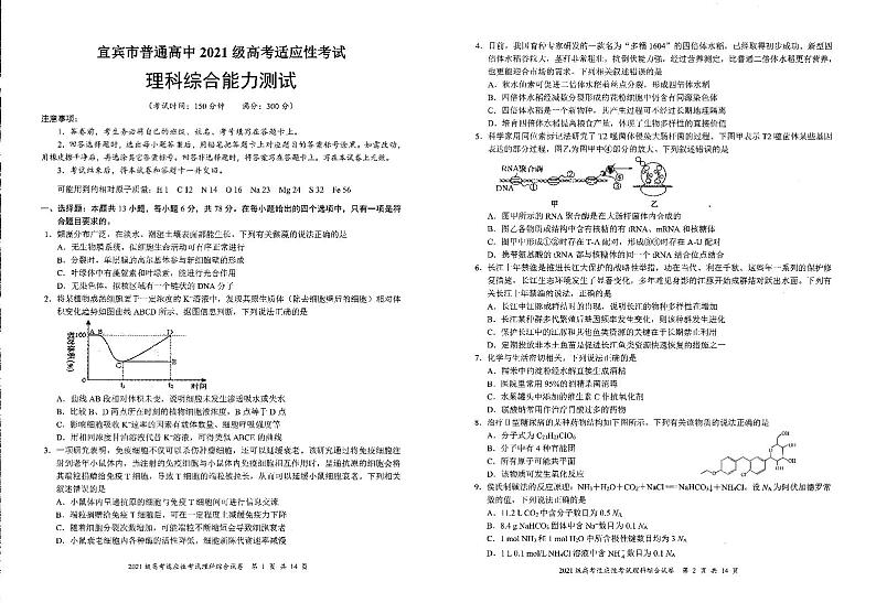 四川省宜宾市2024届高三下学期三模理综试卷（PDF版附答案）第1页