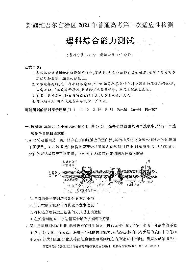 新疆维吾尔自治区2024届高三下学期三模理综试卷（PDF版附解析）01