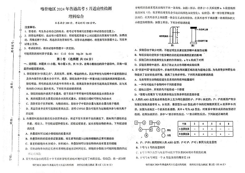 2024喀什地区高三下学期5月适应性检测试题理综PDF版含答案第1页