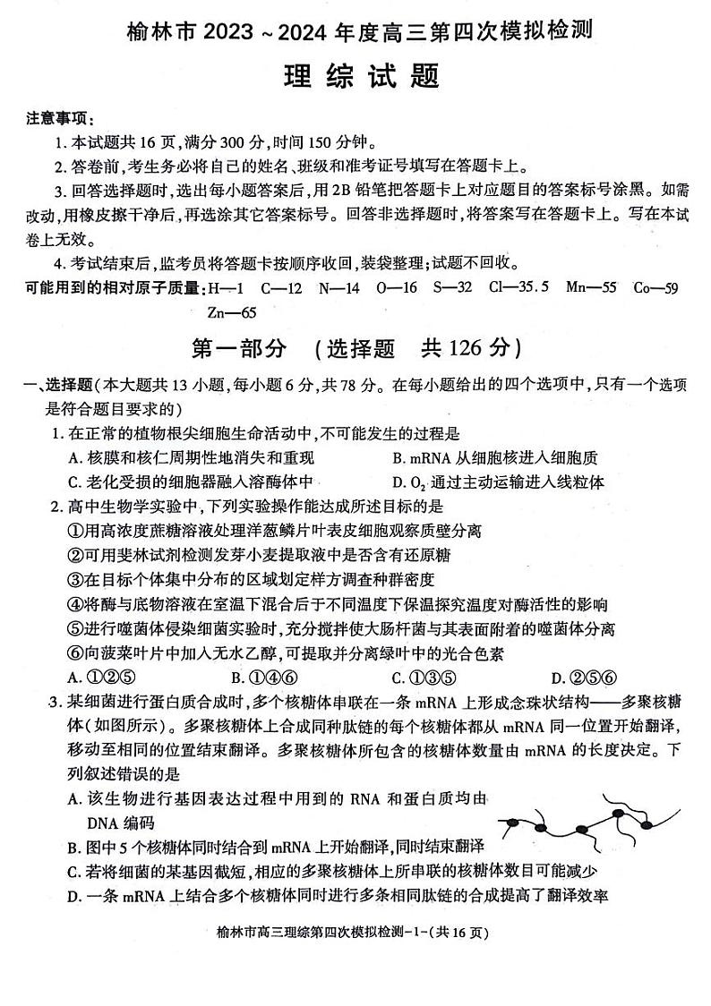陕西省榆林市2024届高三下学期5月第四次模拟检测试题理综PDF版含答案第1页
