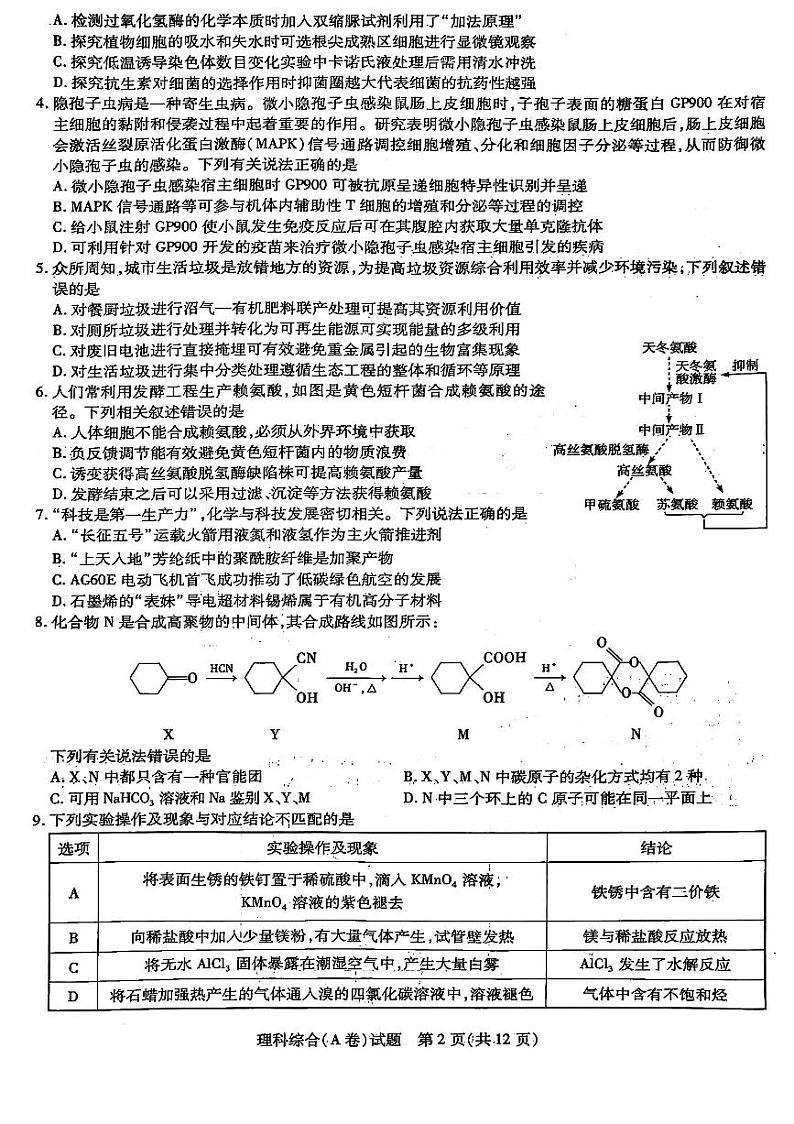 山西省晋中市2024届高三下学期5月高考适应训练考试理科综合试卷第2页