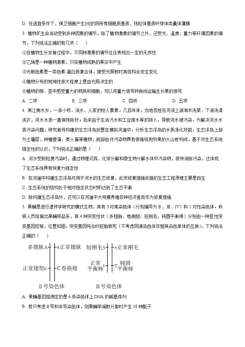 2024届河南省五市高三下学期二模理综试题-高中生物（原卷版+解析版）02