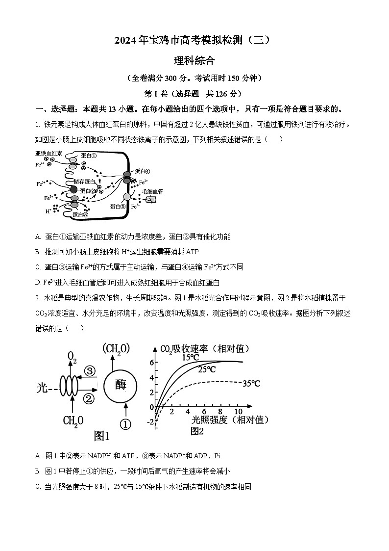 2024届陕西省宝鸡市高三下学期三模考试理科综合试题-高中生物（原卷版+解析版）01