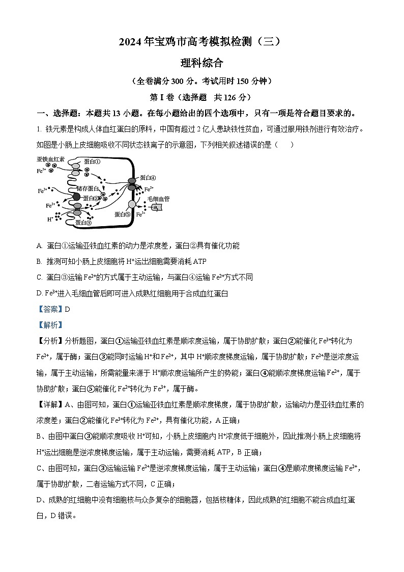 2024届陕西省宝鸡市高三下学期三模考试理科综合试题-高中生物（原卷版+解析版）01