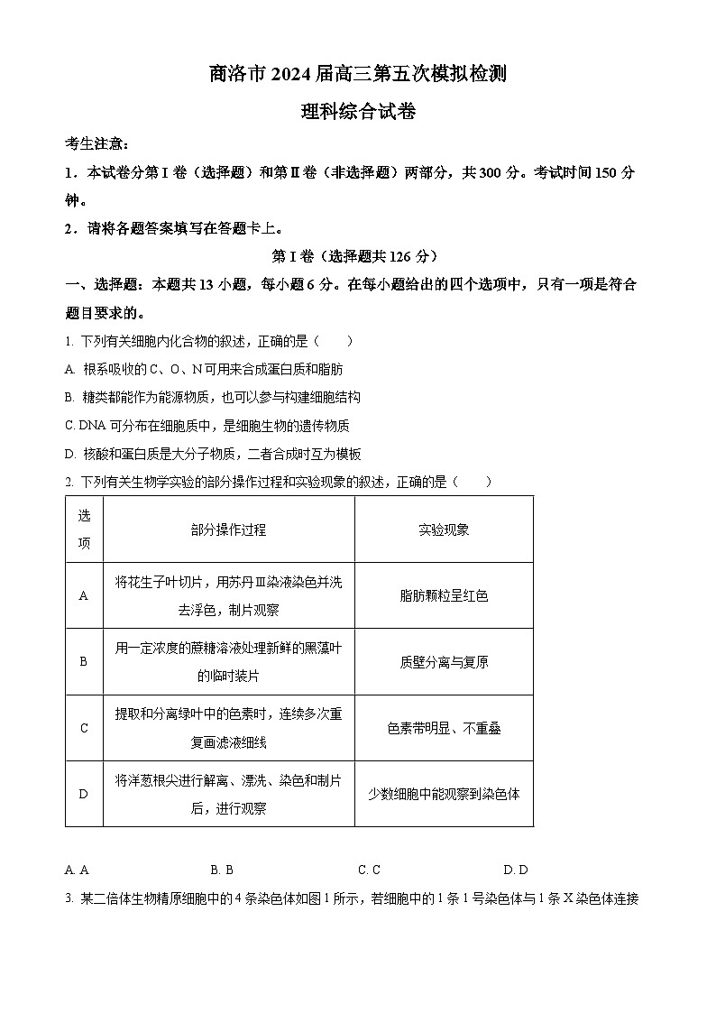 2024届陕西省商洛市高三下学期第五次模拟检测理综试题-高中生物（原卷版）第1页