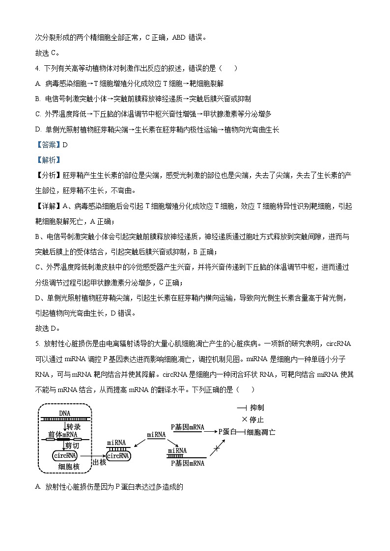 2024届陕西省铜川市高三下学期第三次模拟考试理科综合试题-高中生物（解析版）第3页