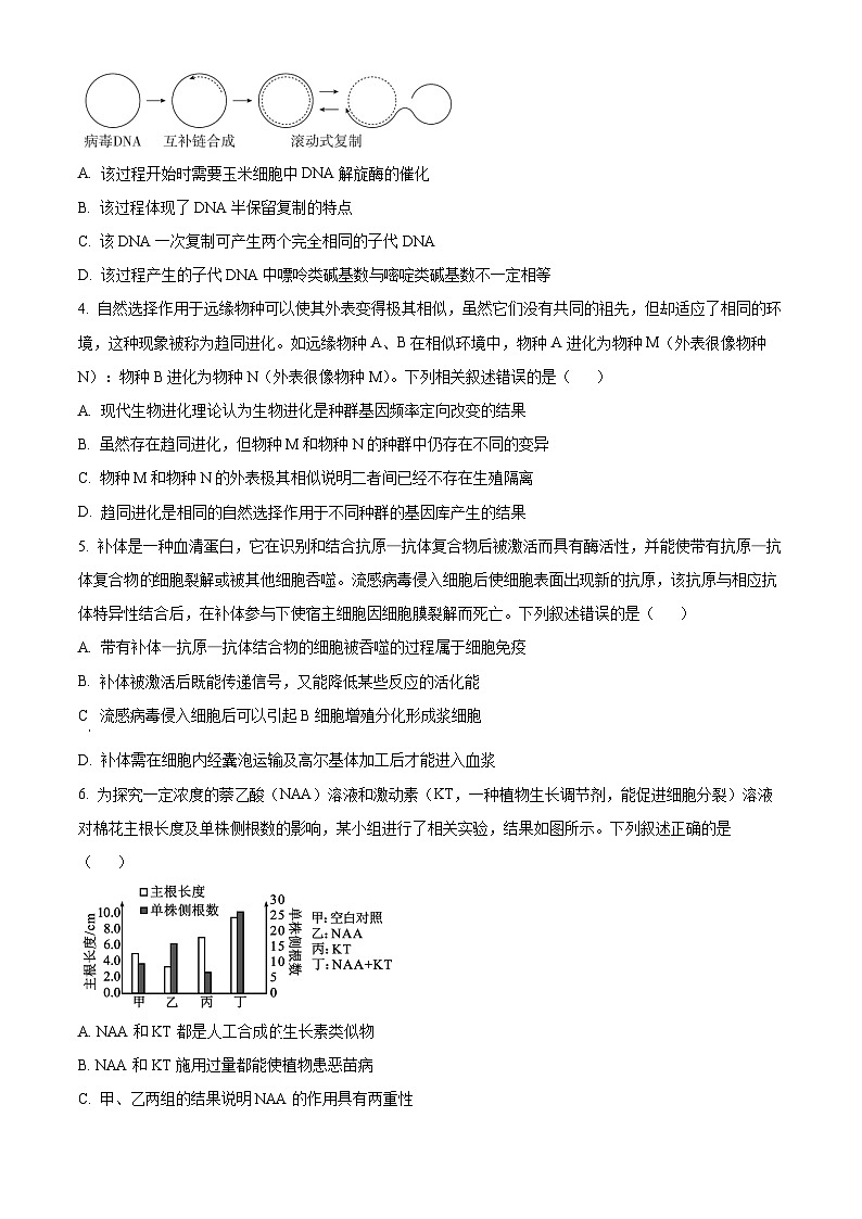 2024届四川省成都市第七中学高三下学期三诊模拟考试理科综合试卷-高中生物（原卷版+解析版）02