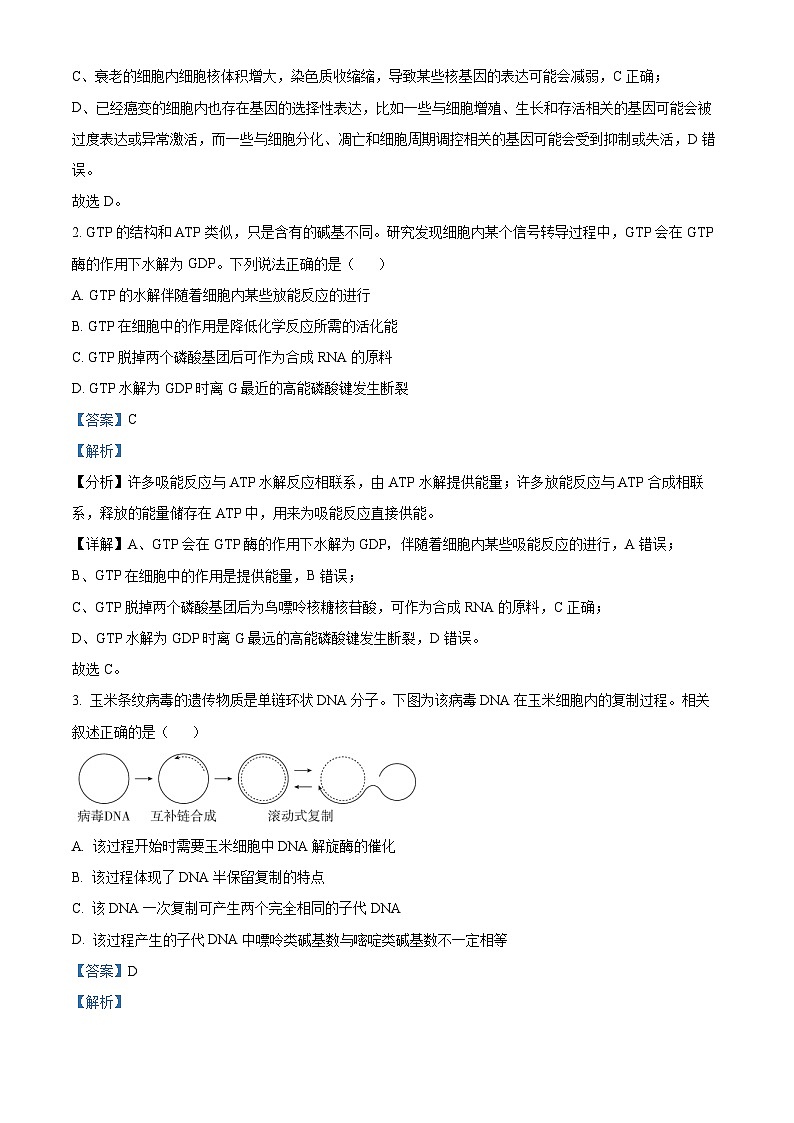 2024届四川省成都市第七中学高三下学期三诊模拟考试理科综合试卷-高中生物（原卷版+解析版）02